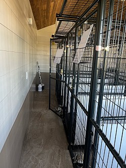 Doggy daycare
